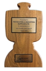 triton-Award